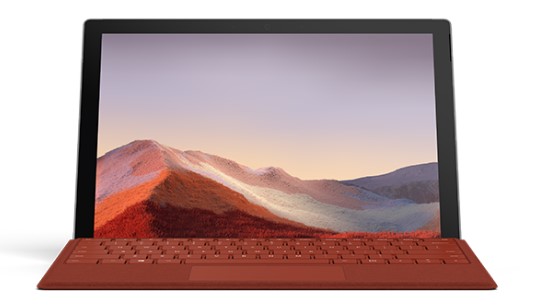 平桂清洁和维护 Surface
